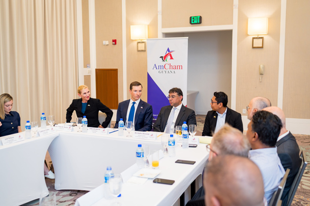 Business professionals sit around a U-shaped conference table during a meeting, with a banner displaying “AmCham” in the background, suggesting a formal discussion or panel event.